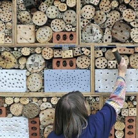 Mason Bee Houses